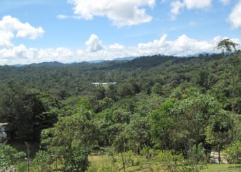 Investigación del Ministerio Público de Panamá sobre posibles delitos ambientales en zona minera