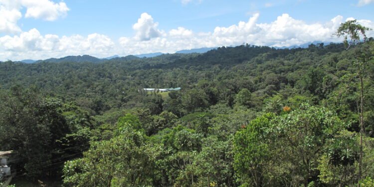 Investigación del Ministerio Público de Panamá sobre posibles delitos ambientales en zona minera