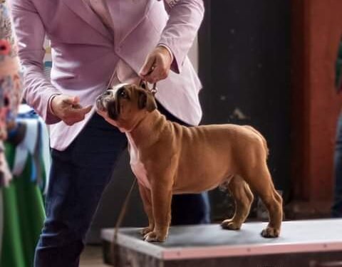 Rafael, el amor y la fraternidad