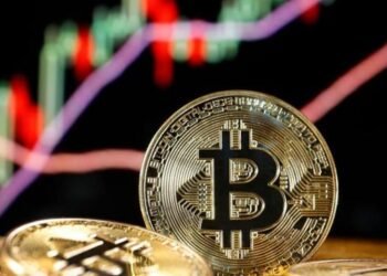 Las causas del ascenso imparable del Bitcoin.