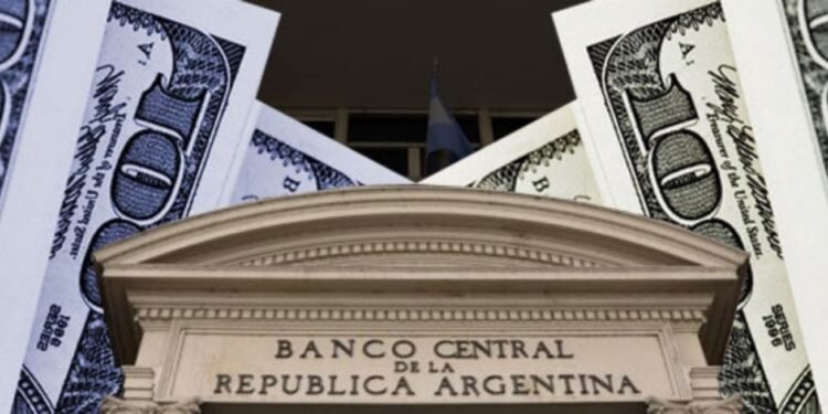 La aprobación del BCRA del “dólar importador” busca controlar los precios.