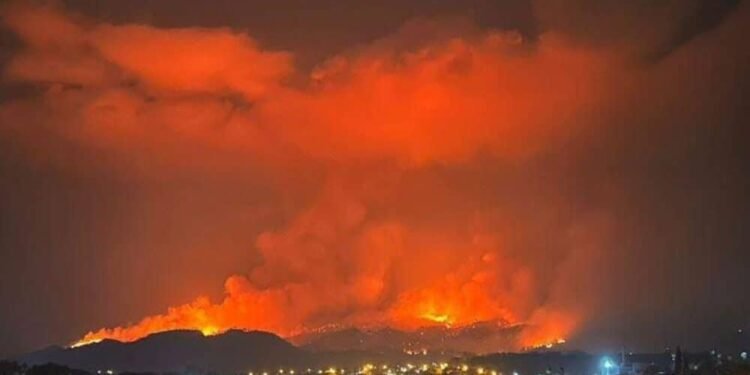 Terrible incendio arrasa con el Parque Nacional La Tigra en Honduras