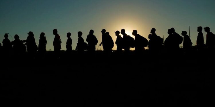 Impacto económico de la inmigración en Estados Unidos.