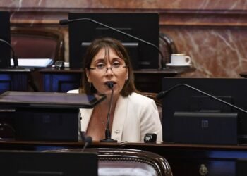 Senadora propone proyecto para asegurar salud mental de los presidentes, tras calificar a Javier Milei como “enfermo mental”