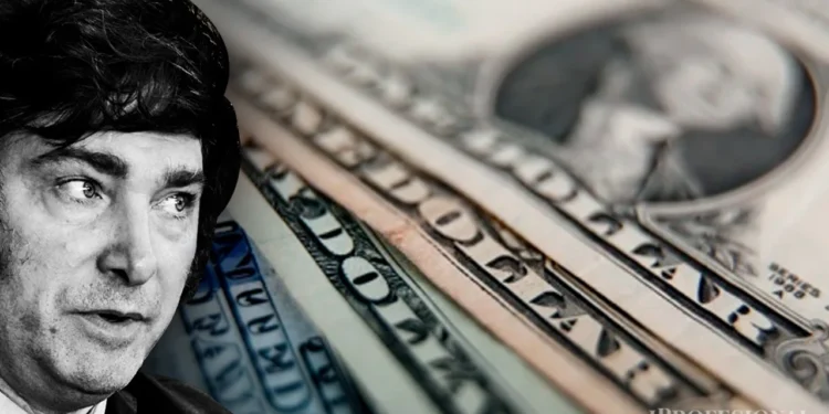 Experto asegura que Argentina requiere una mayor cantidad de dólares