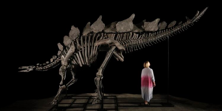 Venta millonaria de esqueleto de Stegosaurus sorprende al mercado.