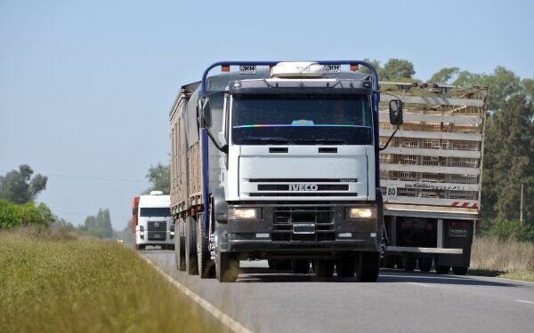 Descubre los impresionantes salarios que ganarán los camioneros argentinos en agosto de 2024.