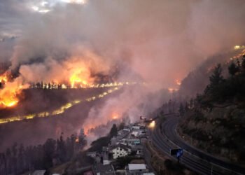 Incendio forestal en Quito: Autoridades ecuatorianas afirman que fue provocado y buscan a los responsables