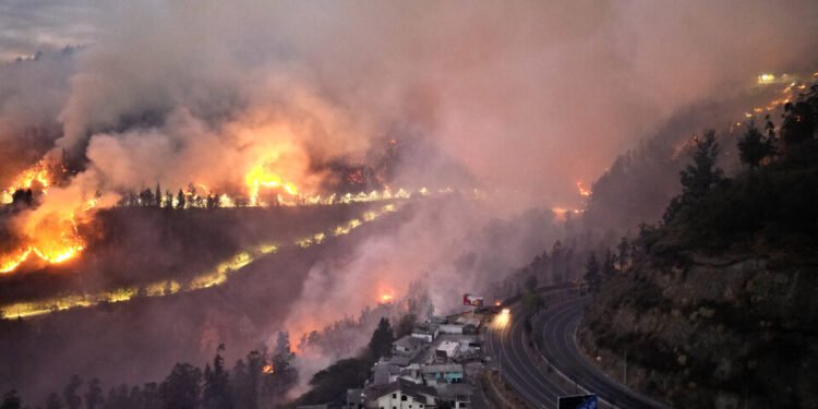 Incendio forestal en Quito: Autoridades ecuatorianas afirman que fue provocado y buscan a los responsables
