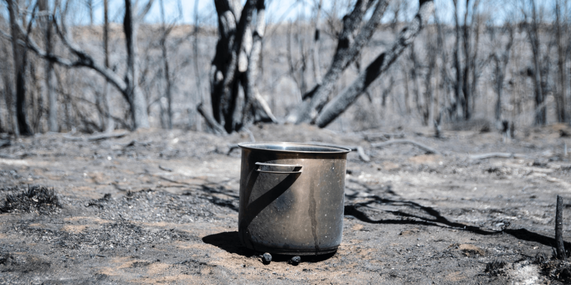 Sheinbaum elogia a López Obrador y apela a la continuidad durante su primer discurso en el Zócalo como presidenta de México