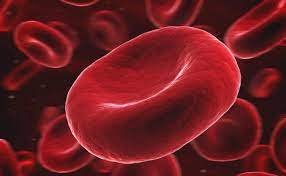 5 alimentos claves para consumir en el desayuno que ayudan a regular el nivel de azúcar en sangre.